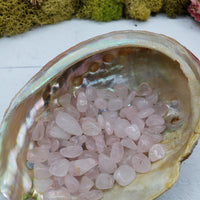 abalone shell with one ounce of rose quartz chips