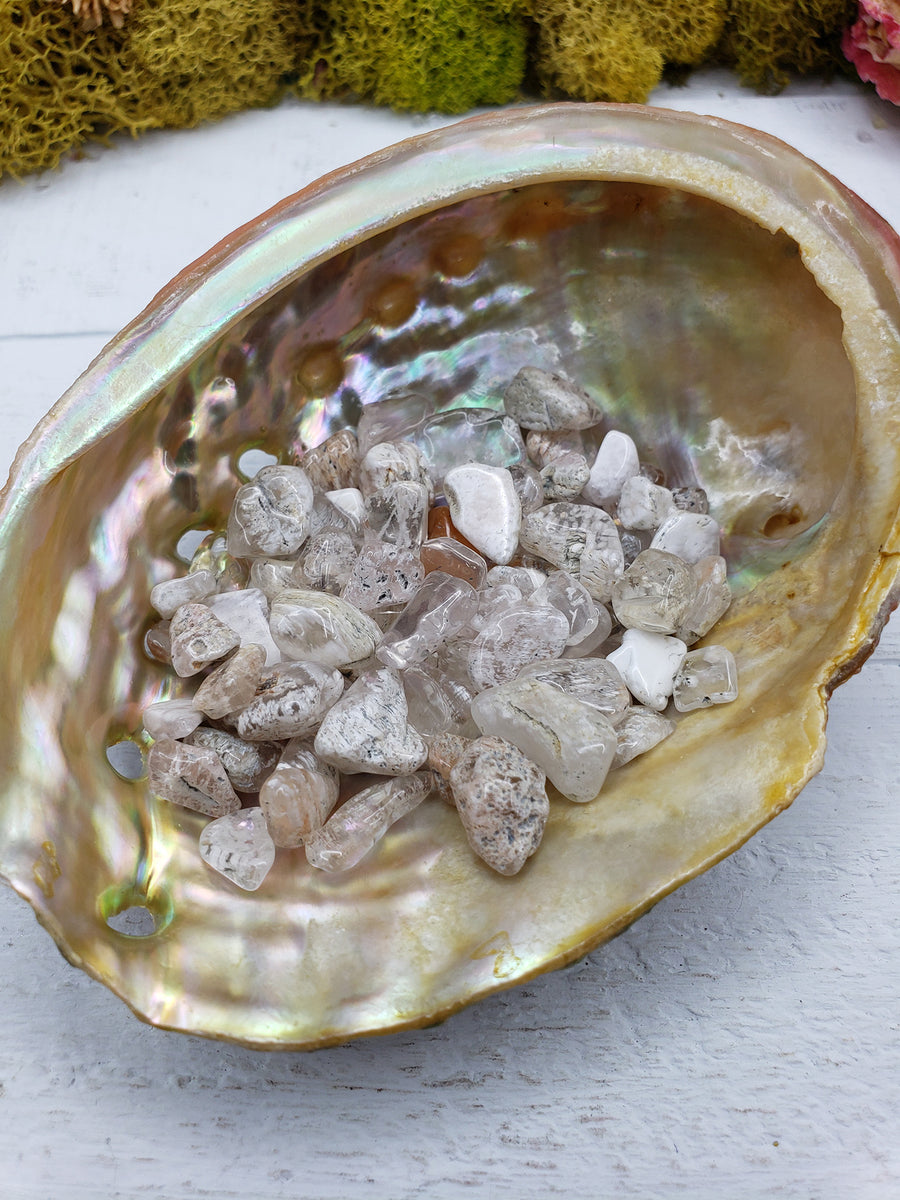 one ounce of lodolite stone chips in abalone shell