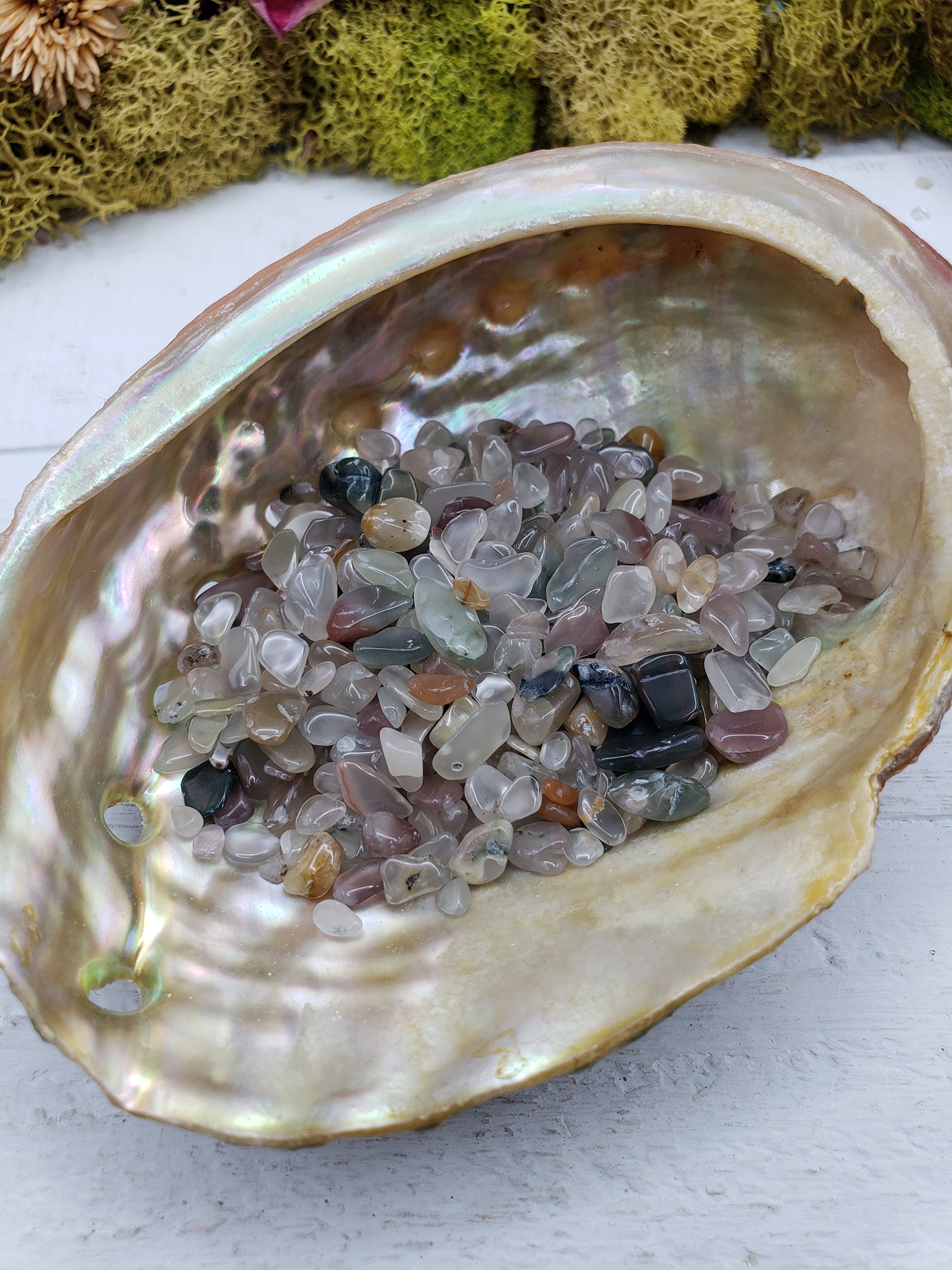 One ounce of mixed agate stone chips in abalone shell