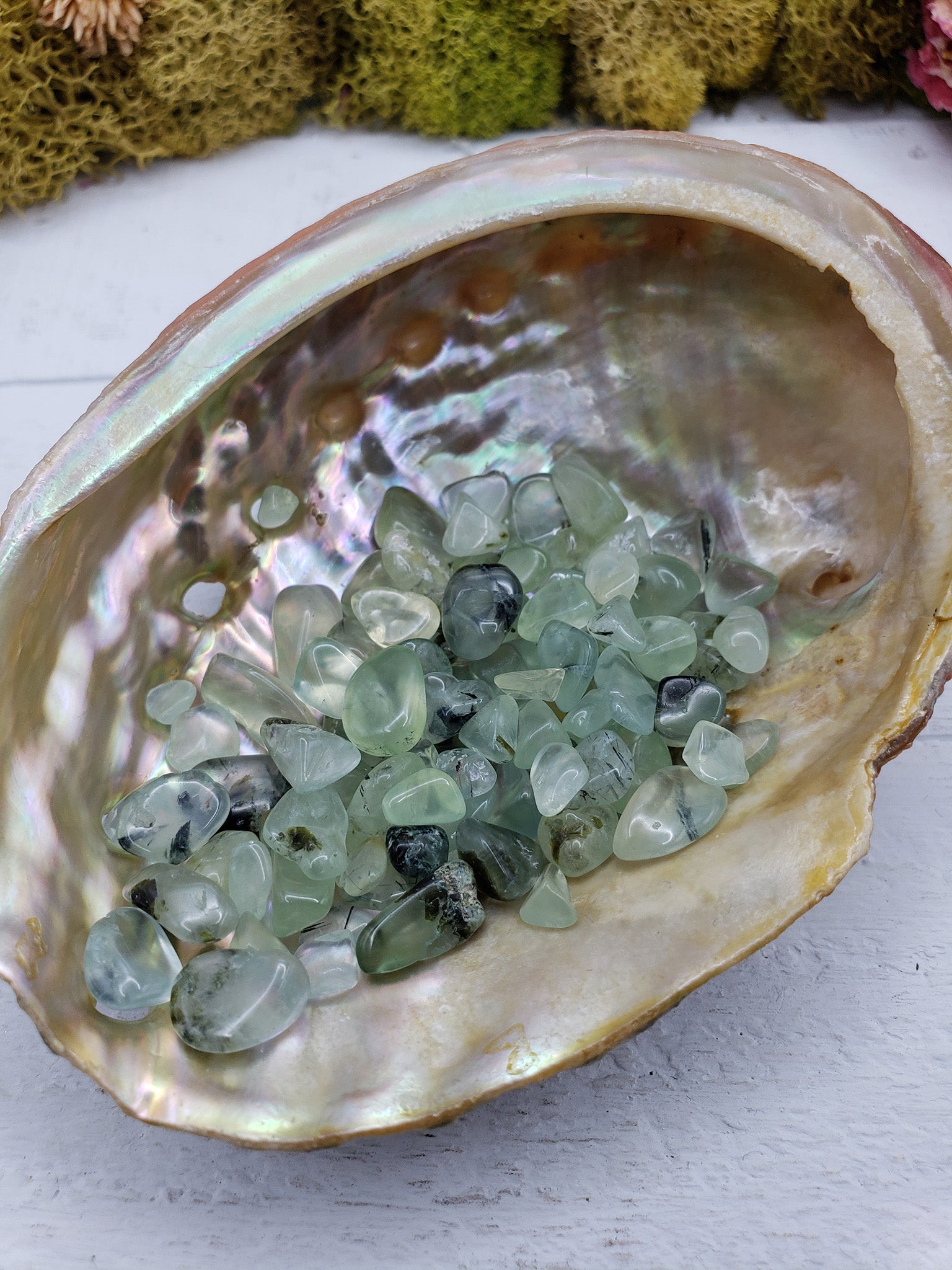 One ounce of prehnite chips in abalone shelll