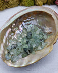 One ounce of prehnite chips in abalone shelll