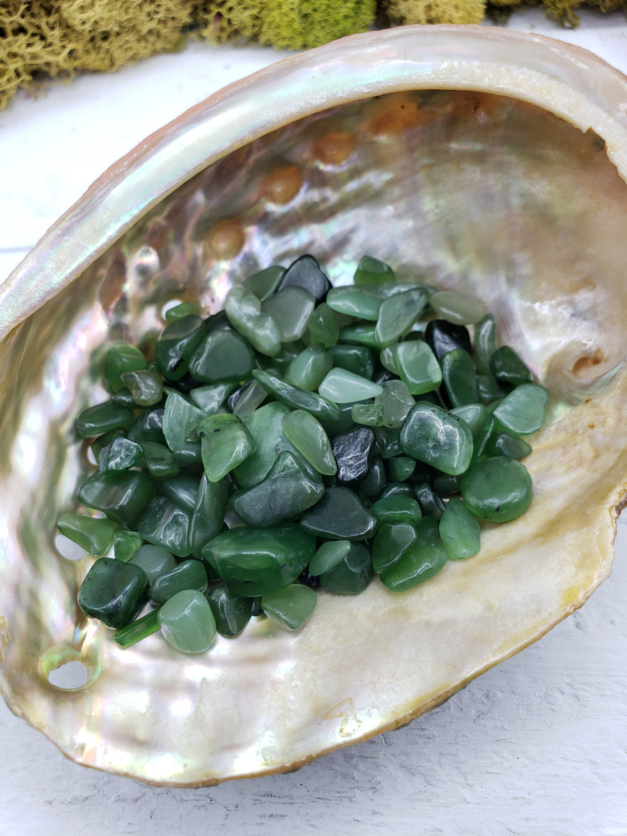 one ounce of nephrite jade chips in abalone shell