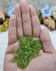 Hand holding one ounce of peridot stone chips