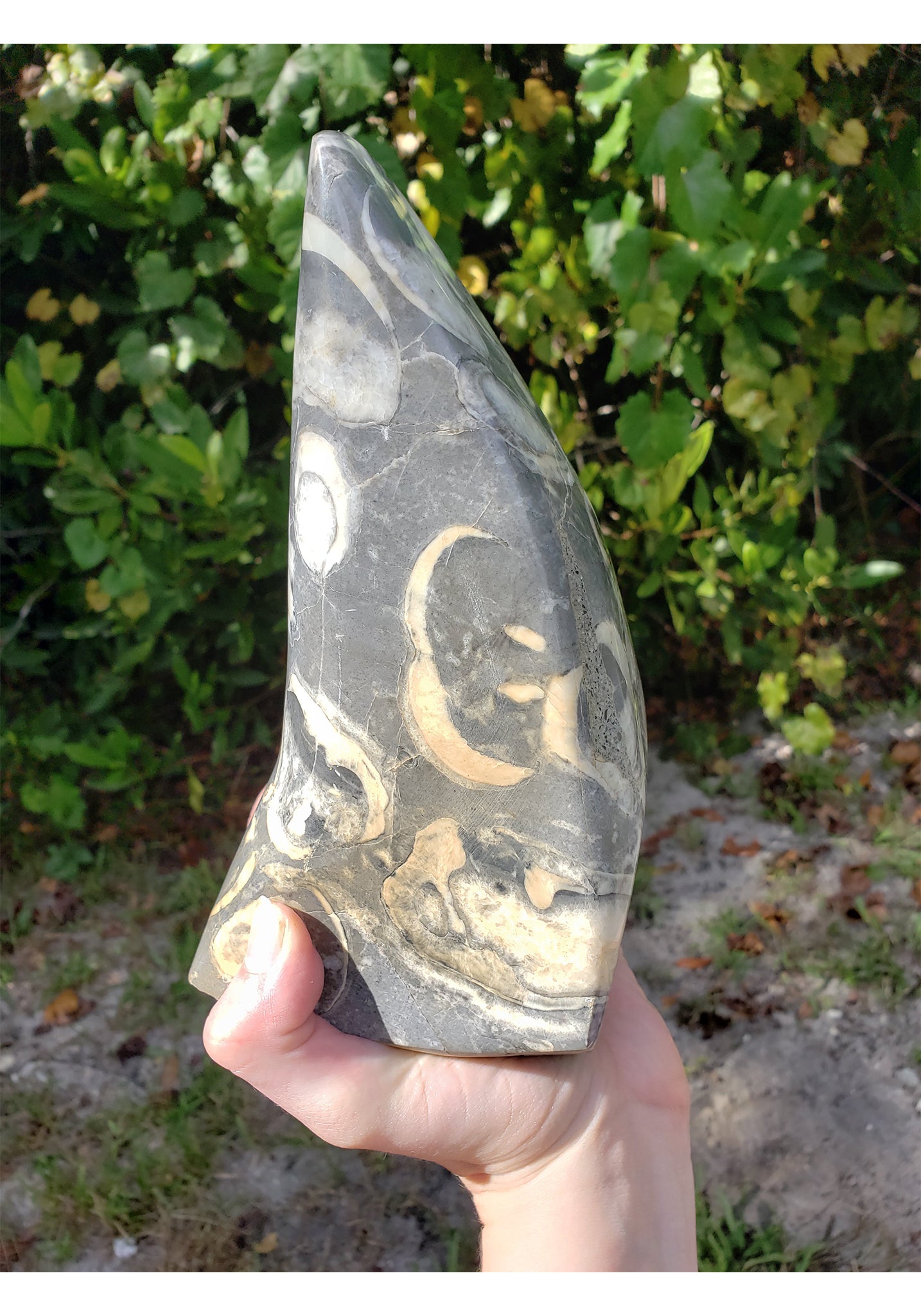 Clam Shell Jasper Gemstone Freeform Tower Monolith Individual Bookend Crystal Gemstone Shop