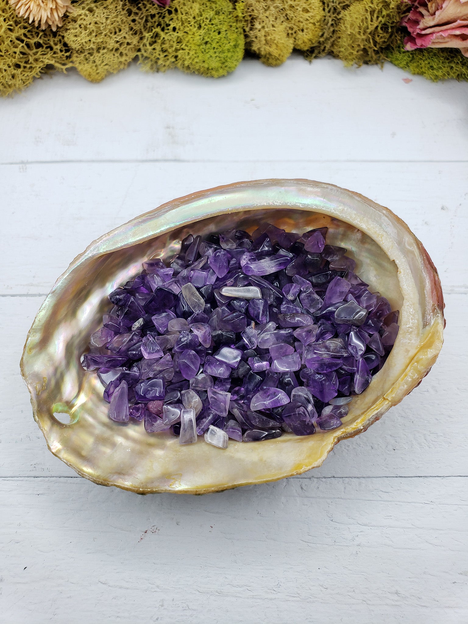 two ounces of amethyst crystal chips in abalone shell