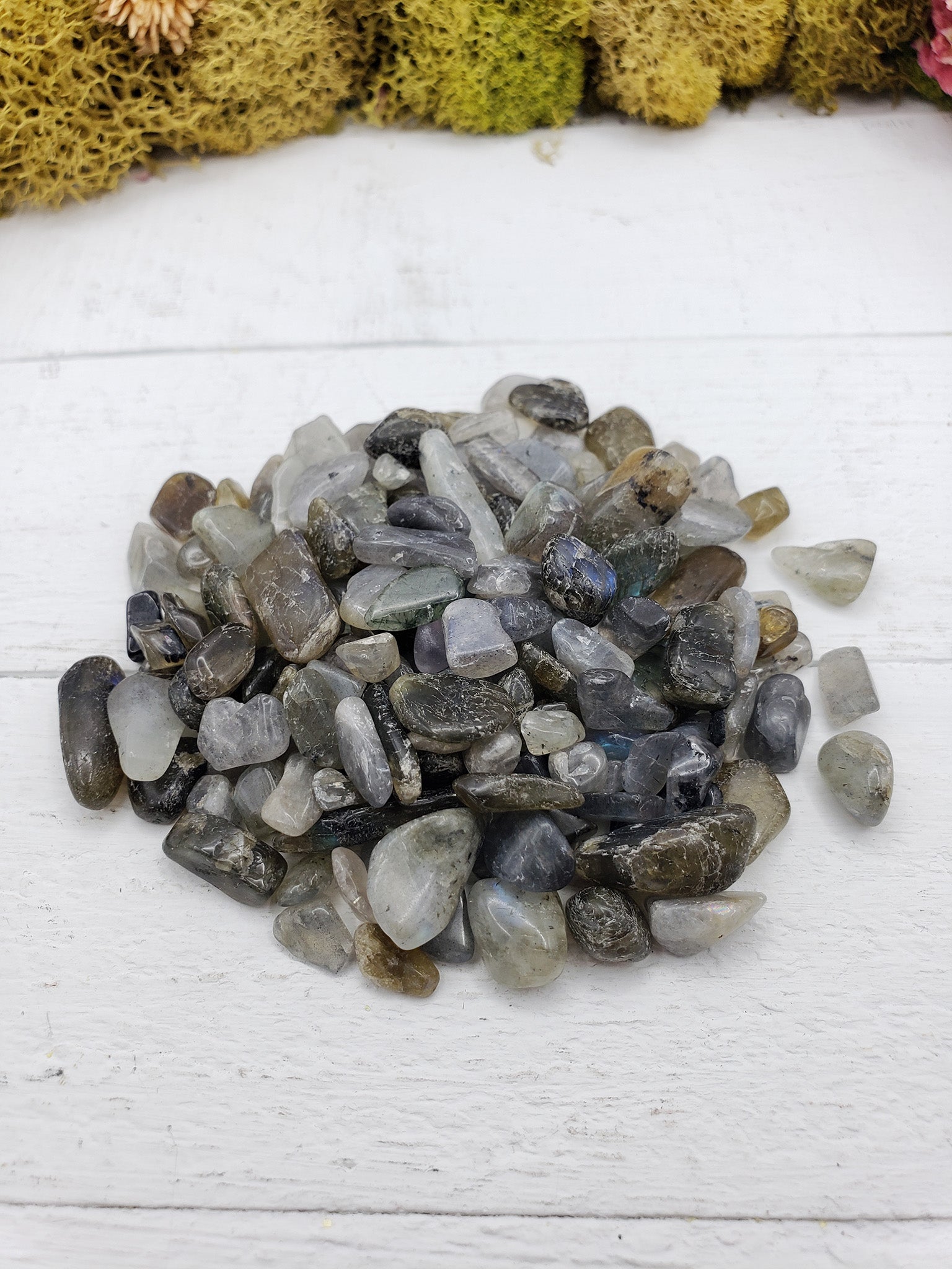 Two ounces of labradorite chips on display