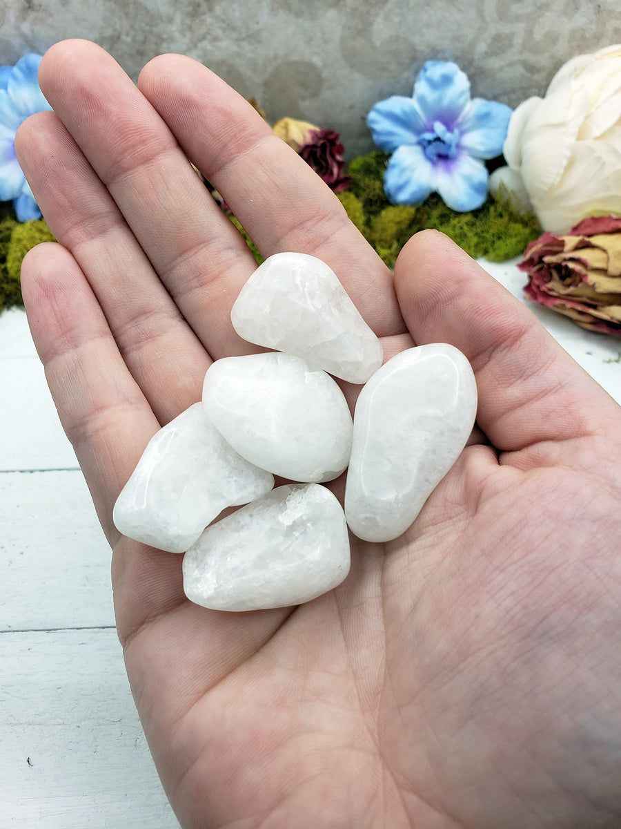 Milky quartz stone pieces in hand