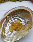 abalone shell with 3 grams of amber crystal chips