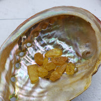 abalone shell with 3 grams of amber crystal chips