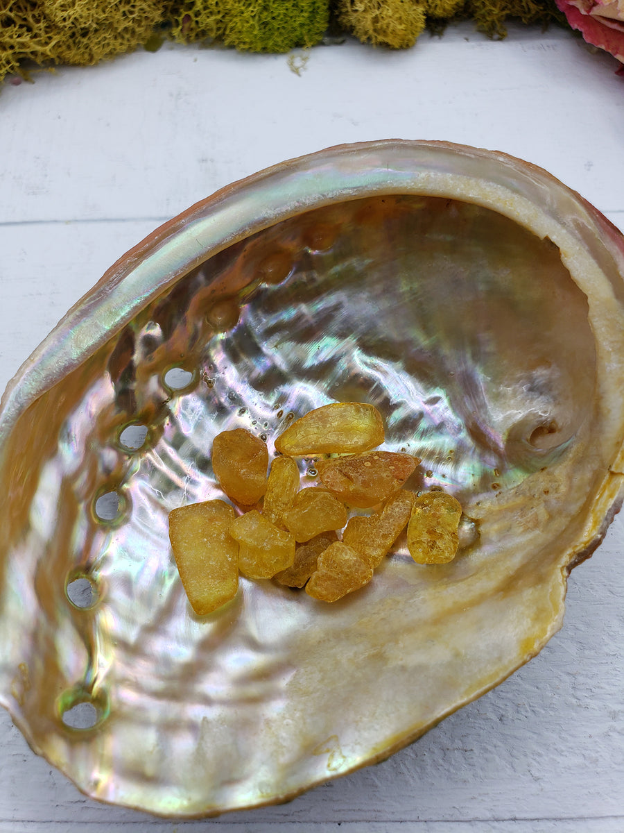 abalone shell with 3 grams of amber crystal chips