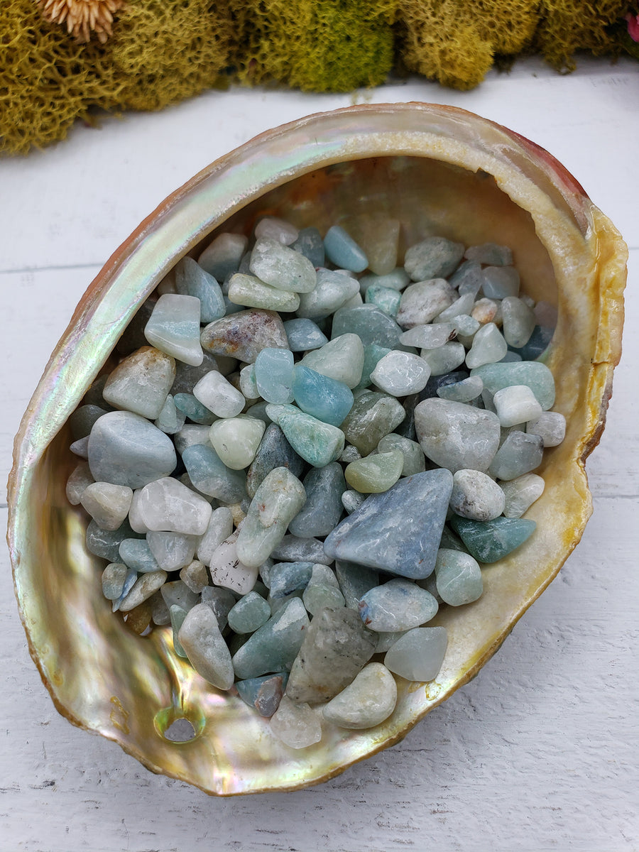 three ounces of amazonite stone chips in abalone shell