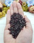 Three ounces of garnet stone chips in hand