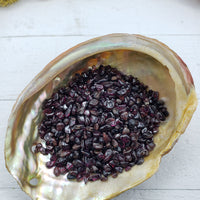 three ounces of garnet crystal chips in abalone shell