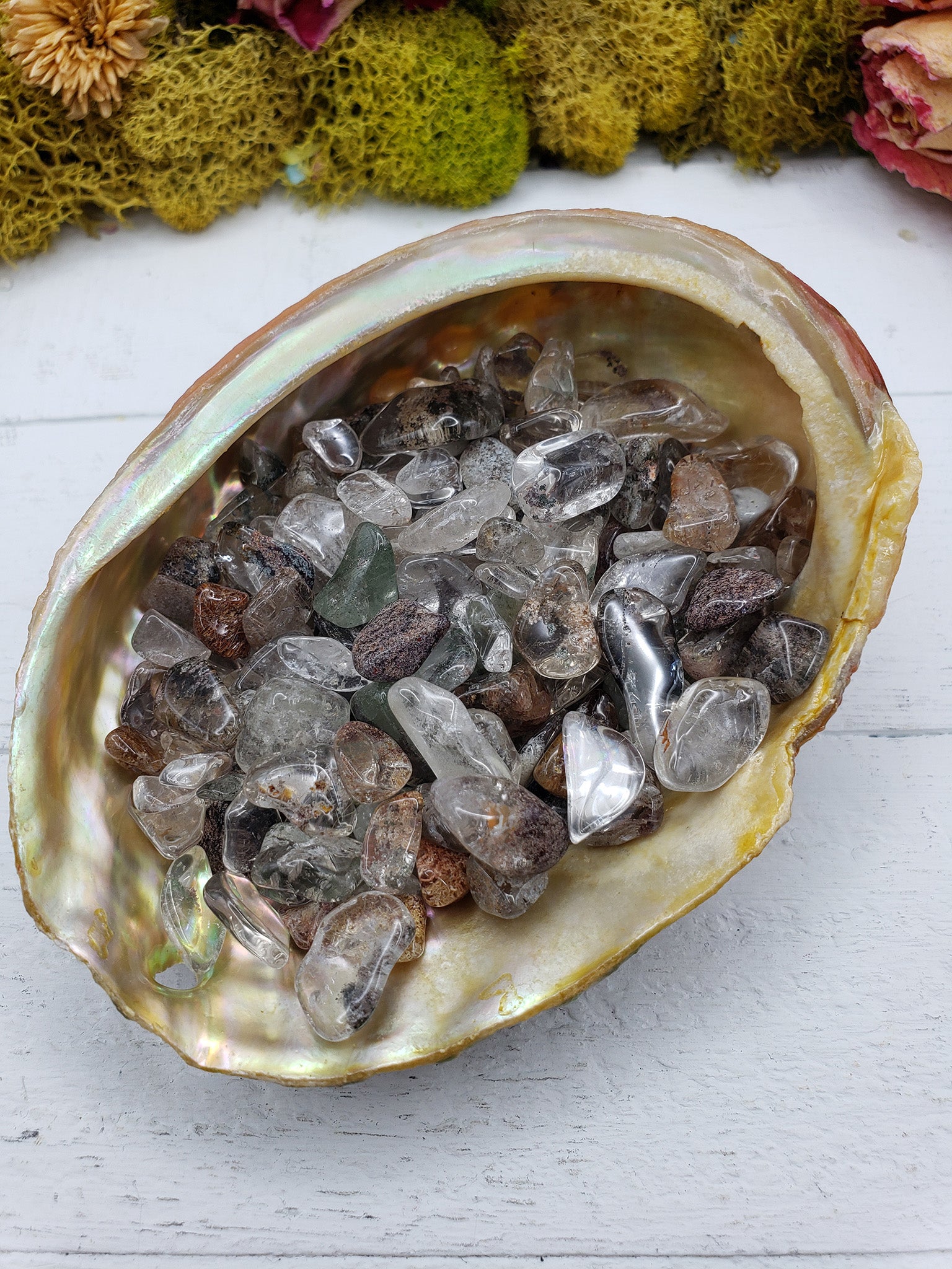 Three ounces of green phantom quartz chips in abalone shell