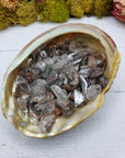 Three ounces of green phantom quartz chips in abalone shell