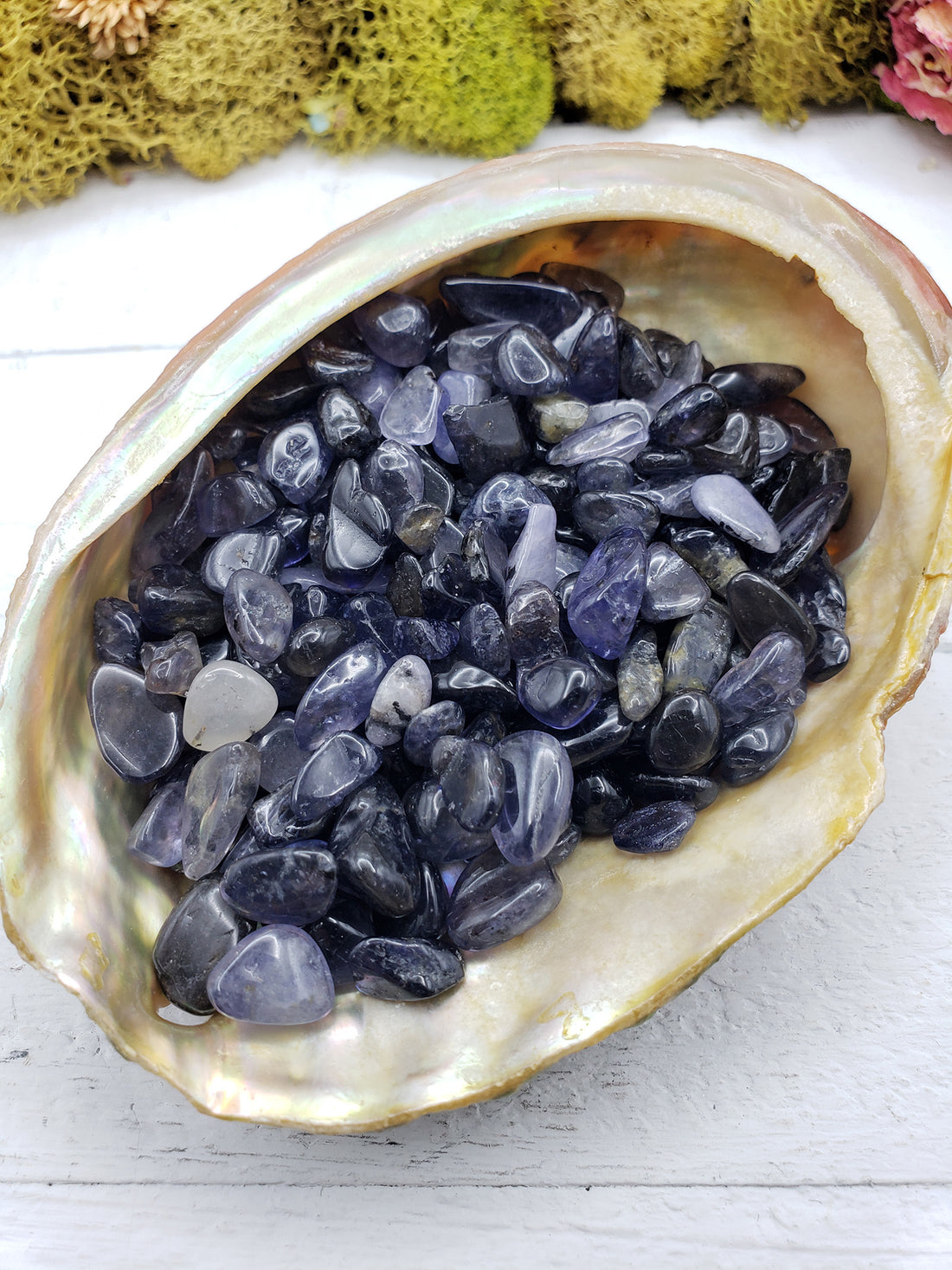 Three ounces of iolite crystal chips in abalone shell