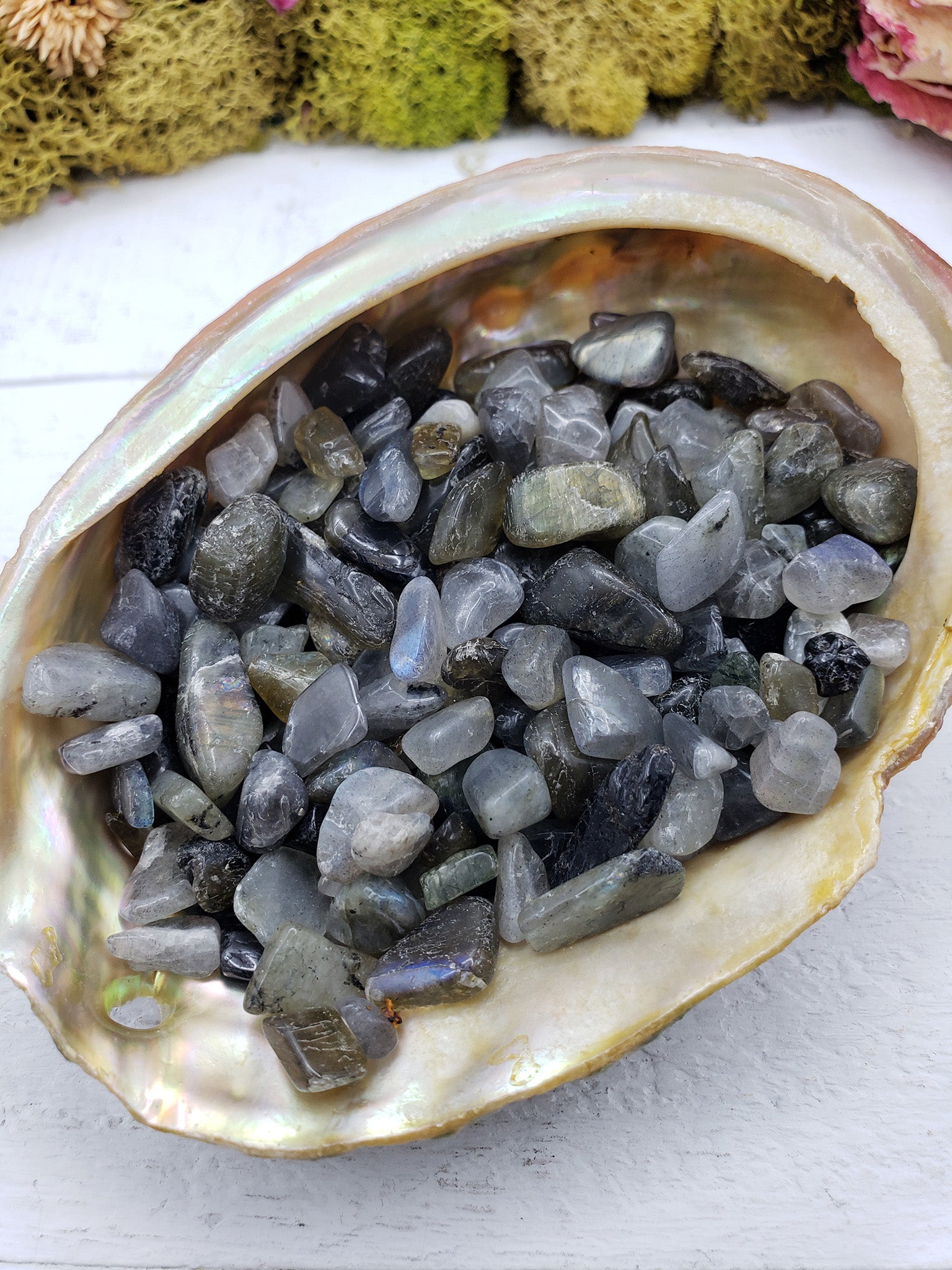 Three ounces of labradorite stone chips in abalone shell