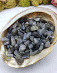 Three ounces of labradorite stone chips in abalone shell
