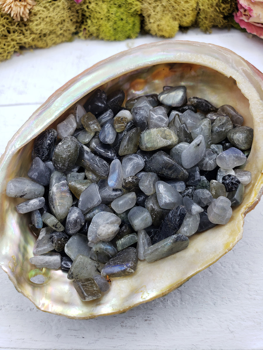 Three ounces of labradorite stone chips in abalone shell