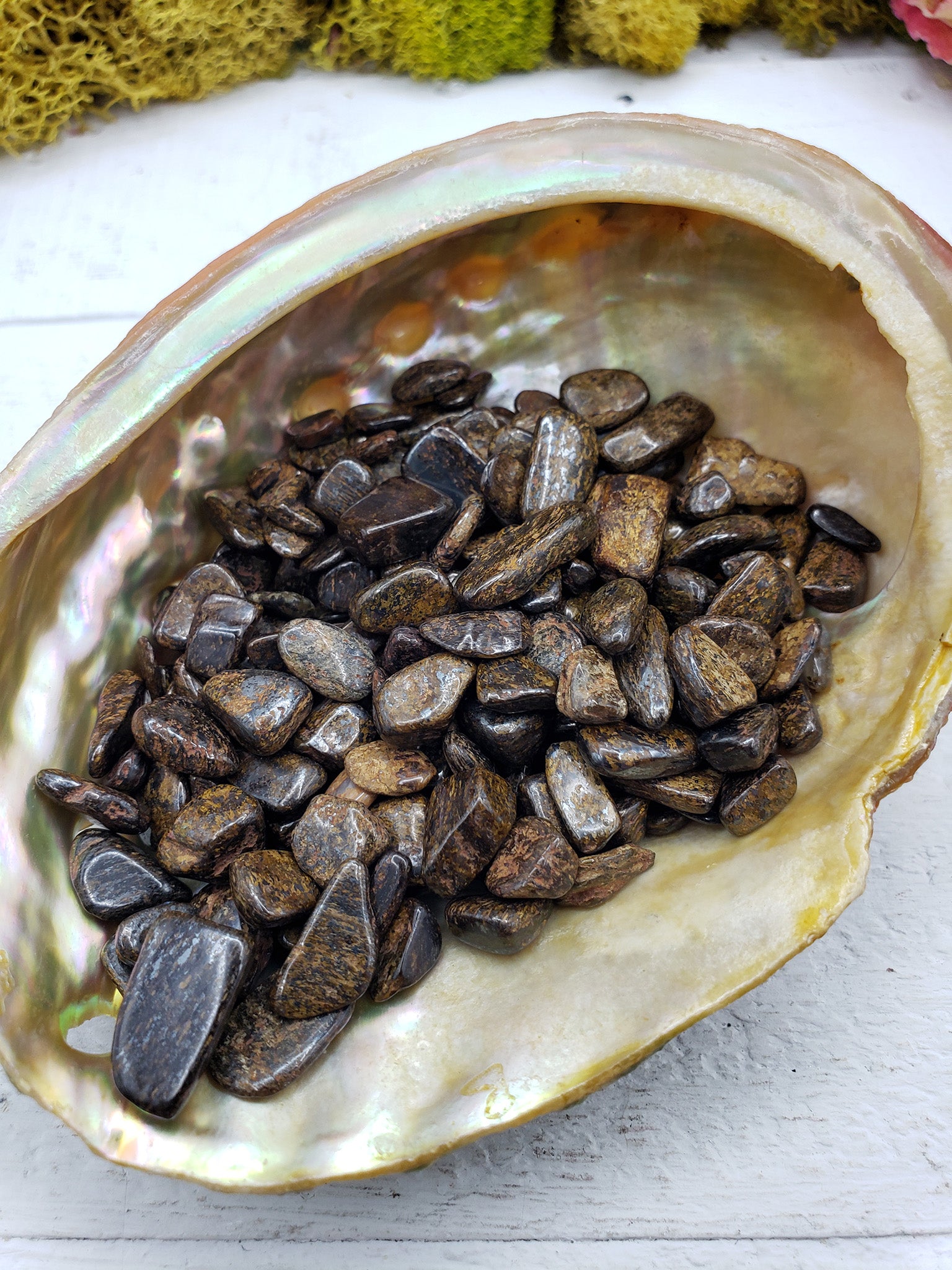 three ounces of bronzite chips in abalone shell