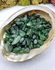Three ounces of nephrite jade chips in abalone shell