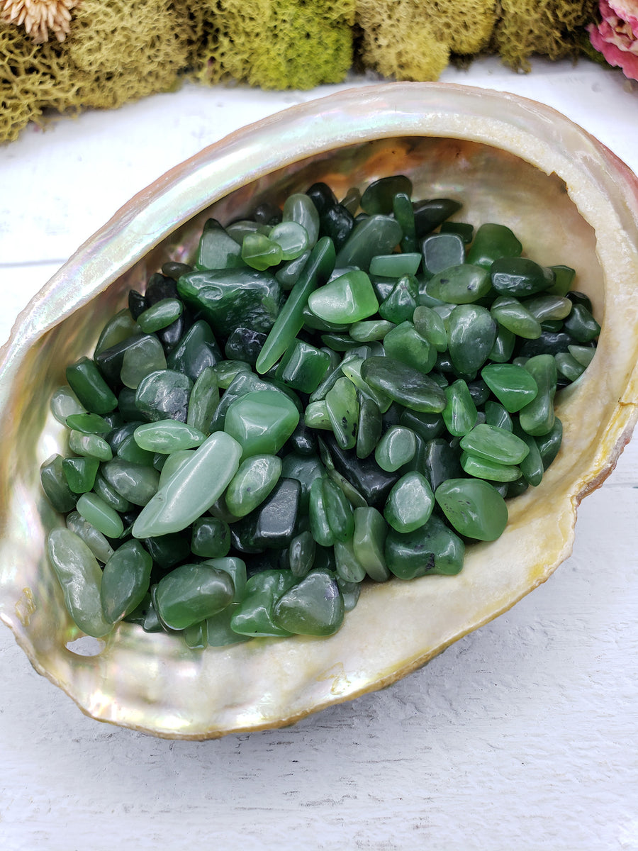 Three ounces of nephrite jade chips in abalone shell