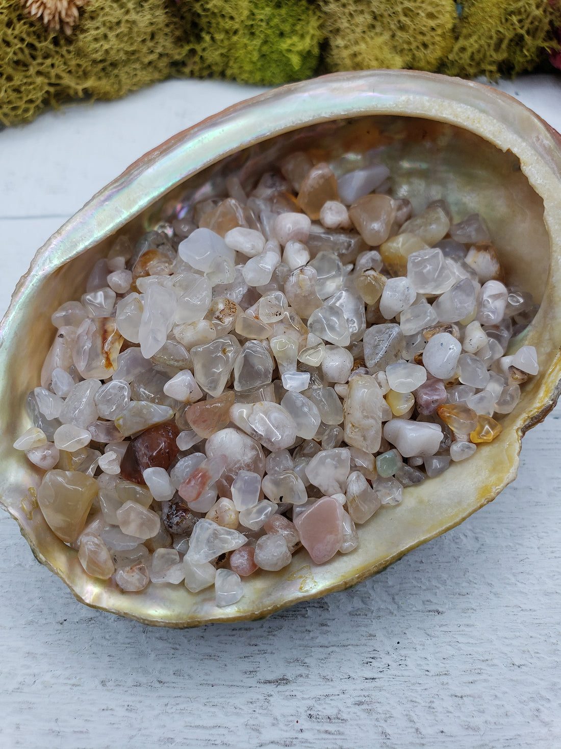 three ounces of cherry blossom agate chips in abalone shell