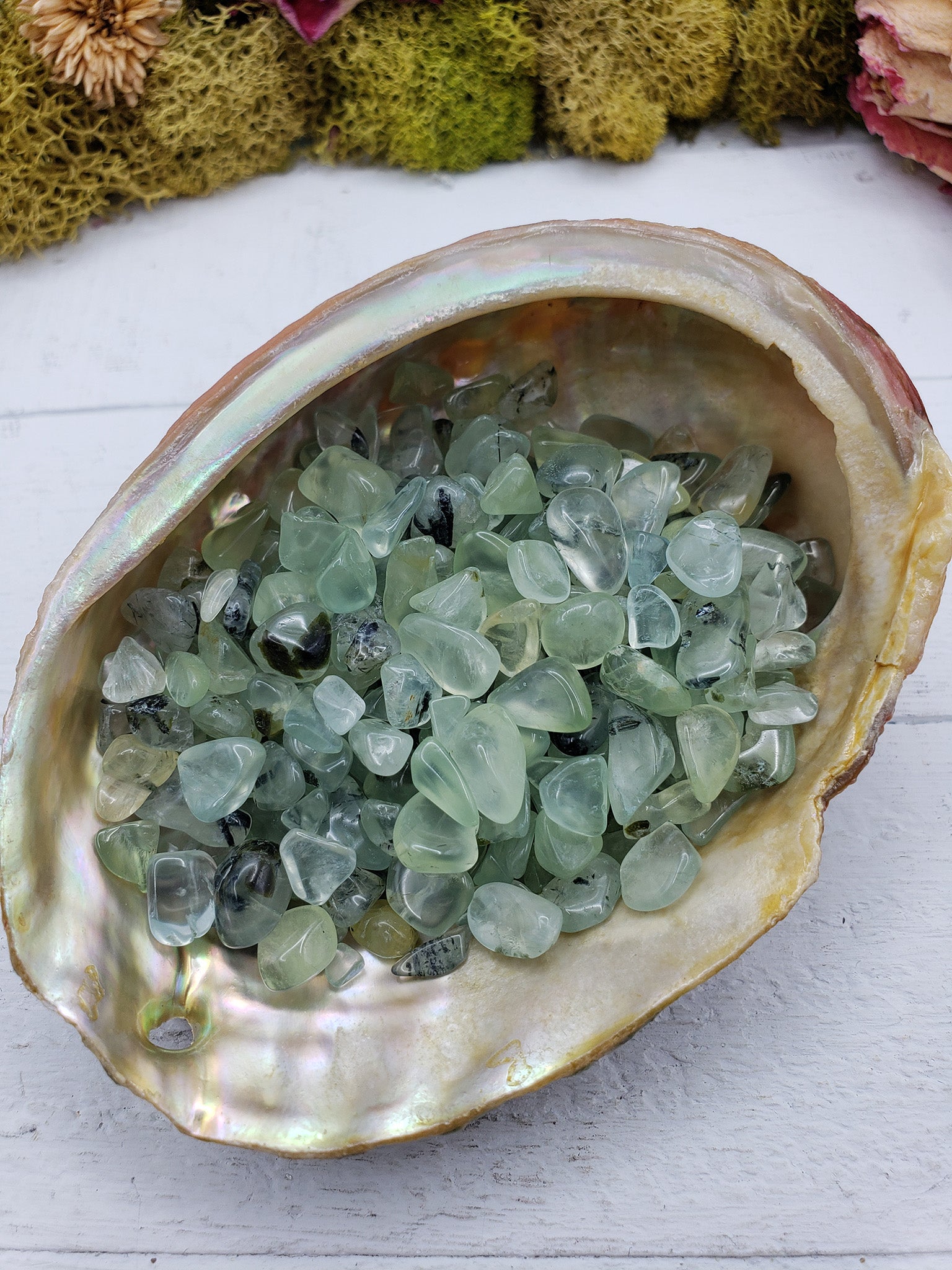 Three ounces of prehnite stone chips in abalone shell