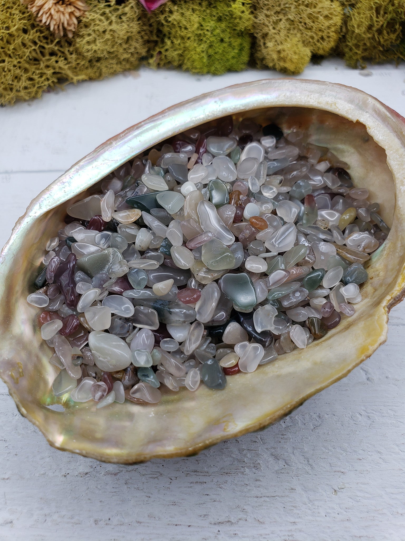 Three ounces of mixed agate stone chips in abalone shell