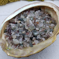 Three ounces of mixed agate stone chips in abalone shell