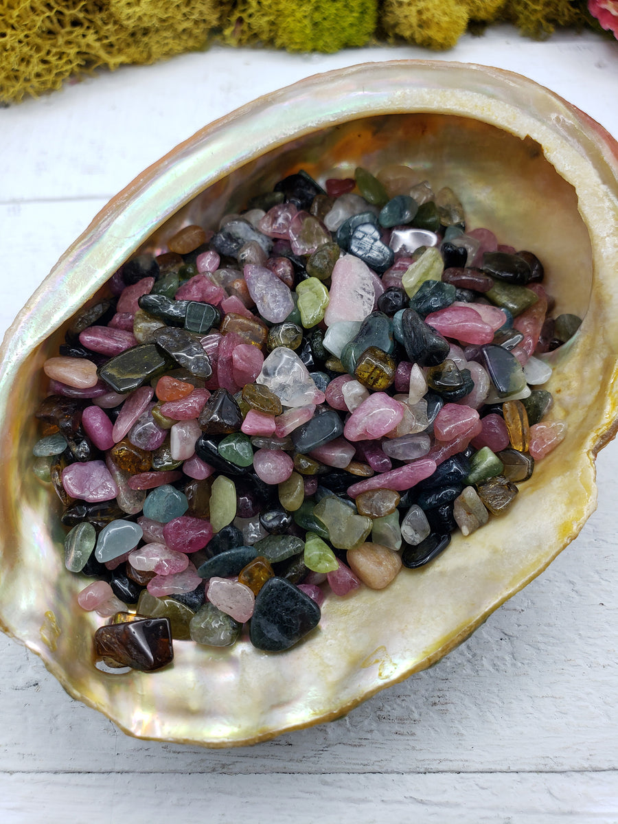 Three ounces of mixed multi tourmaline crystal chips in abalone shell