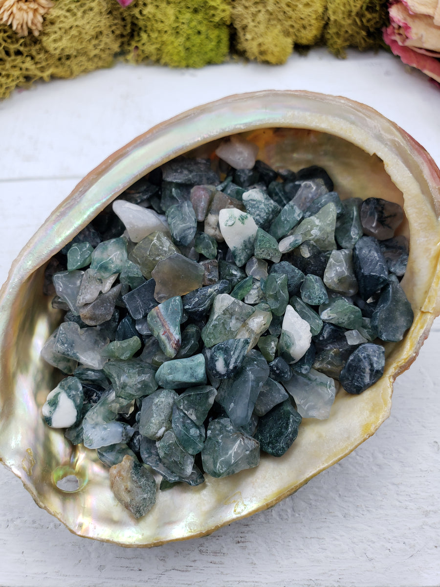 Three ounces of moss agate chips in abalone shell