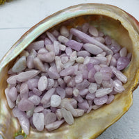 Three ounces of kunzite chips in abalone shell