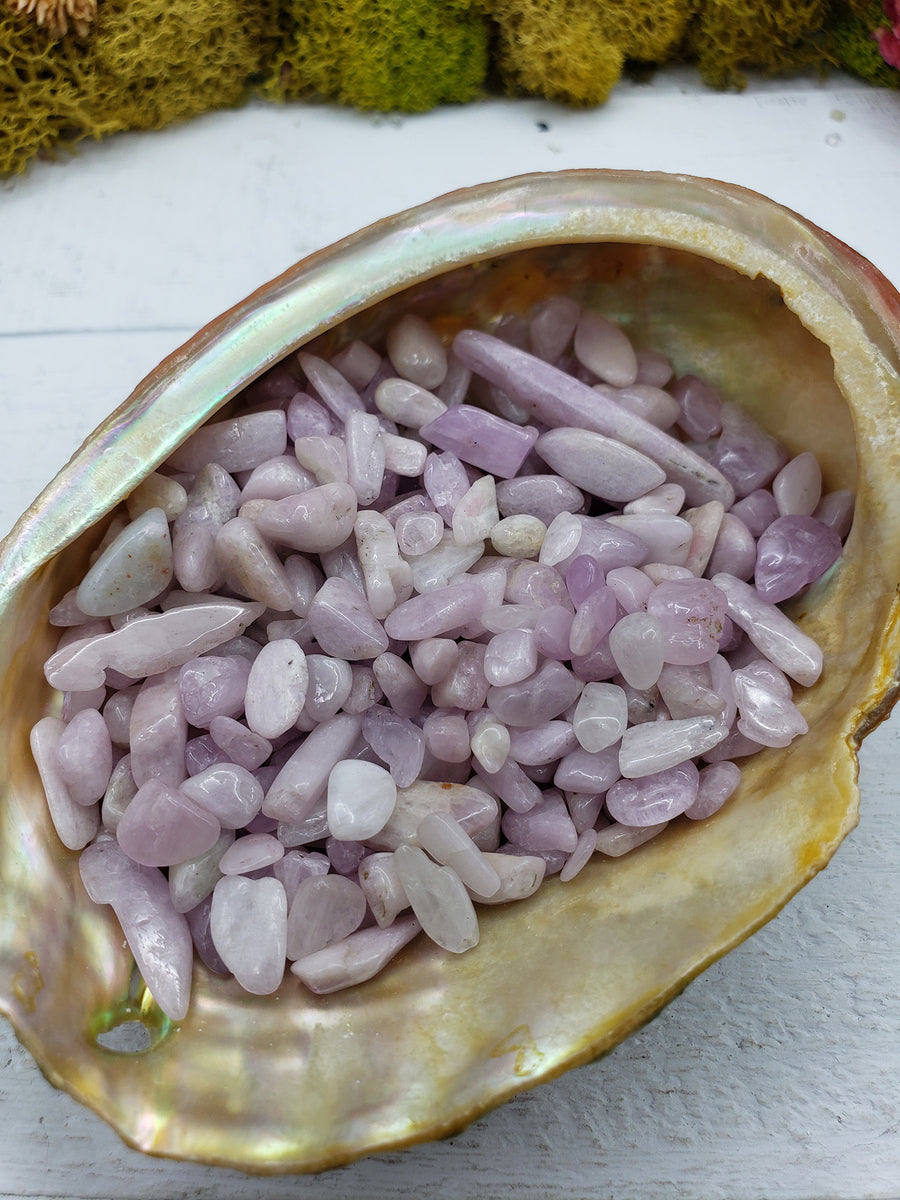 Three ounces of kunzite chips in abalone shell