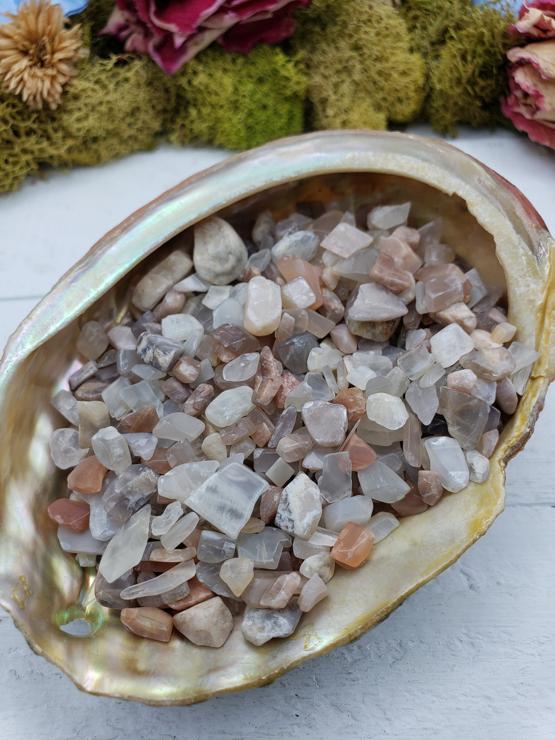 Three ounces of moonstone crystal chips in abalone shell