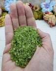 hand holding three ounces of peridot stone chips