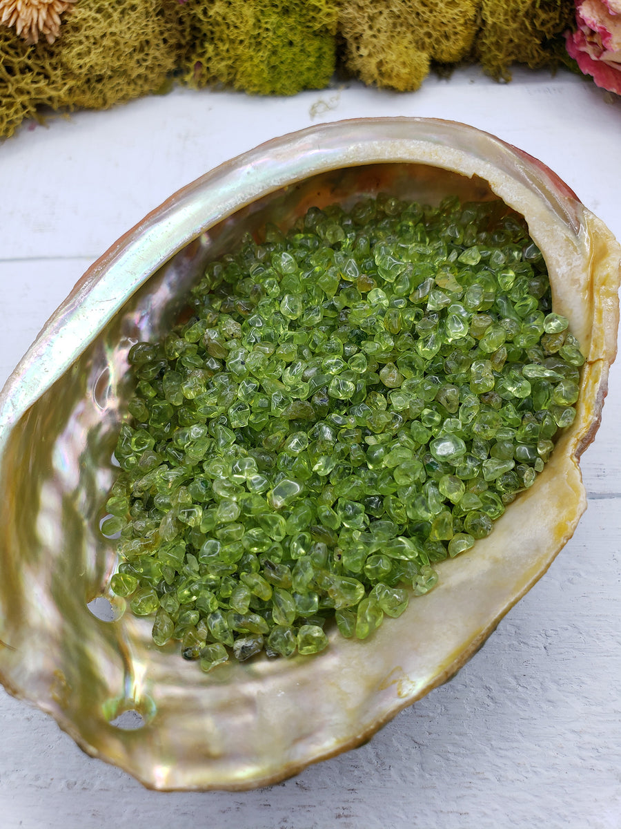 three ounces of peridot stone chips in abalone shell