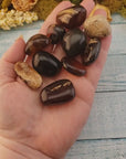 Zebra Amber Natural Tumbled Fossil Tree Resin Organic Gemstone - Video