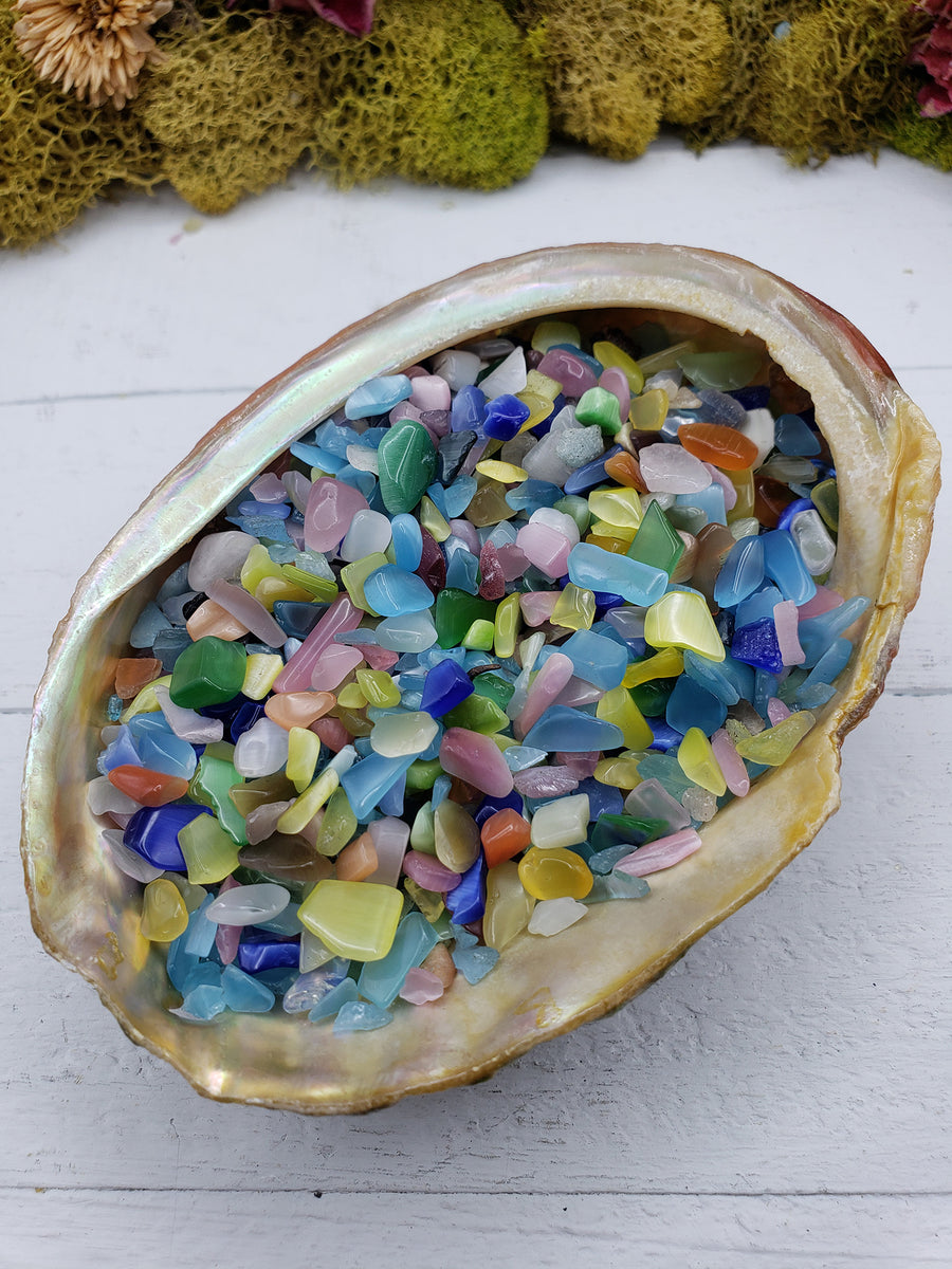 four ounces of rainbow cats eye stone chips in abalone shell