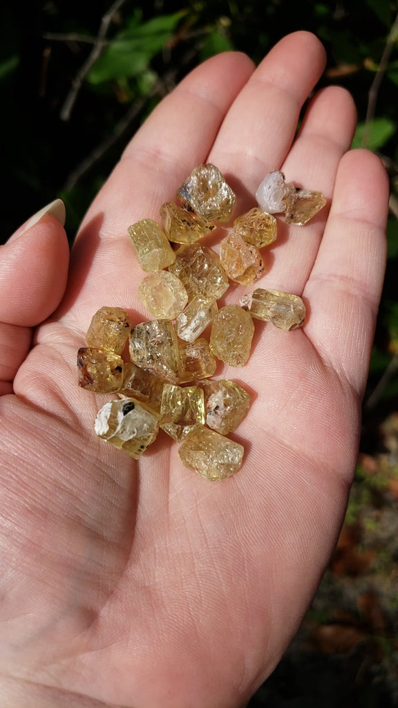 Gold Yellow Apatite Raw Gemstone - One Stone or Bulk Wholesale Lots - Video