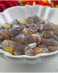 Botswana Agate Polished Tumbled Gemstone - 6 Mini Stones [ 0.25" - 0.75" ]