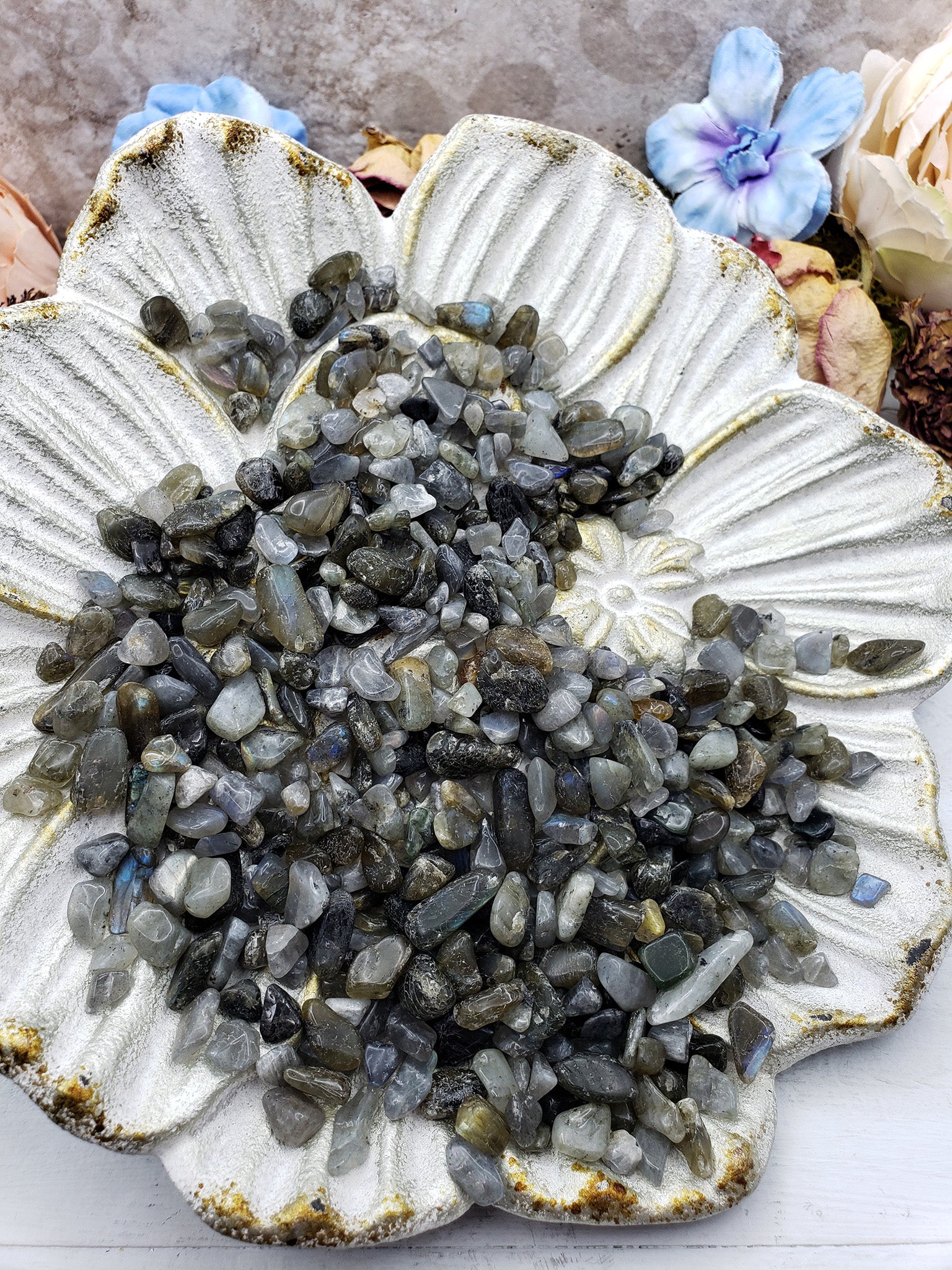 Seven ounces of labradorite stone chips on floral prop display