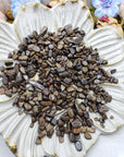 seven ounces of bronzite chips on floral dish display