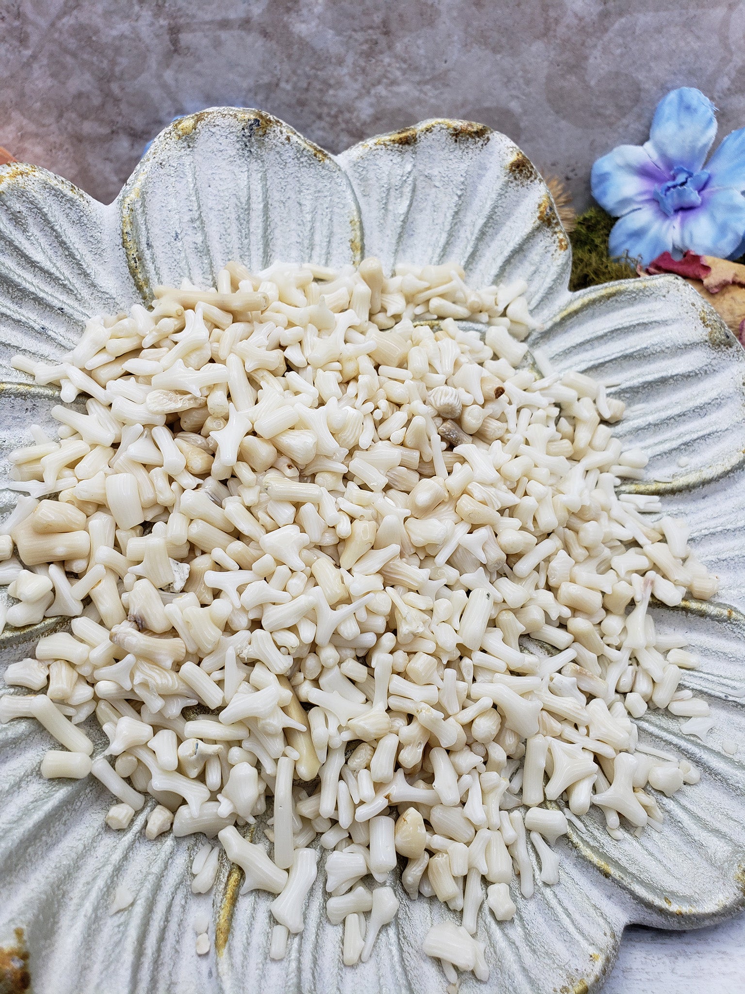 seven ounces of bamboo coral chips on floral dish