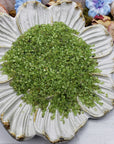 seven ounces of peridot stone chips on display