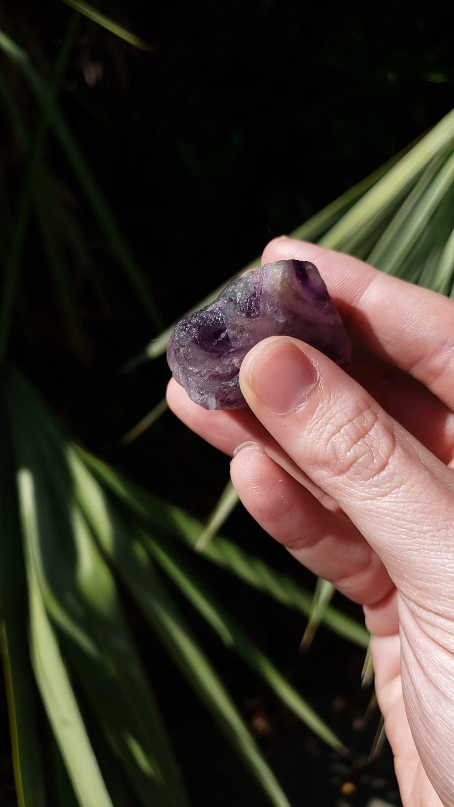 hand showing rough fluorite crystal in sunlight