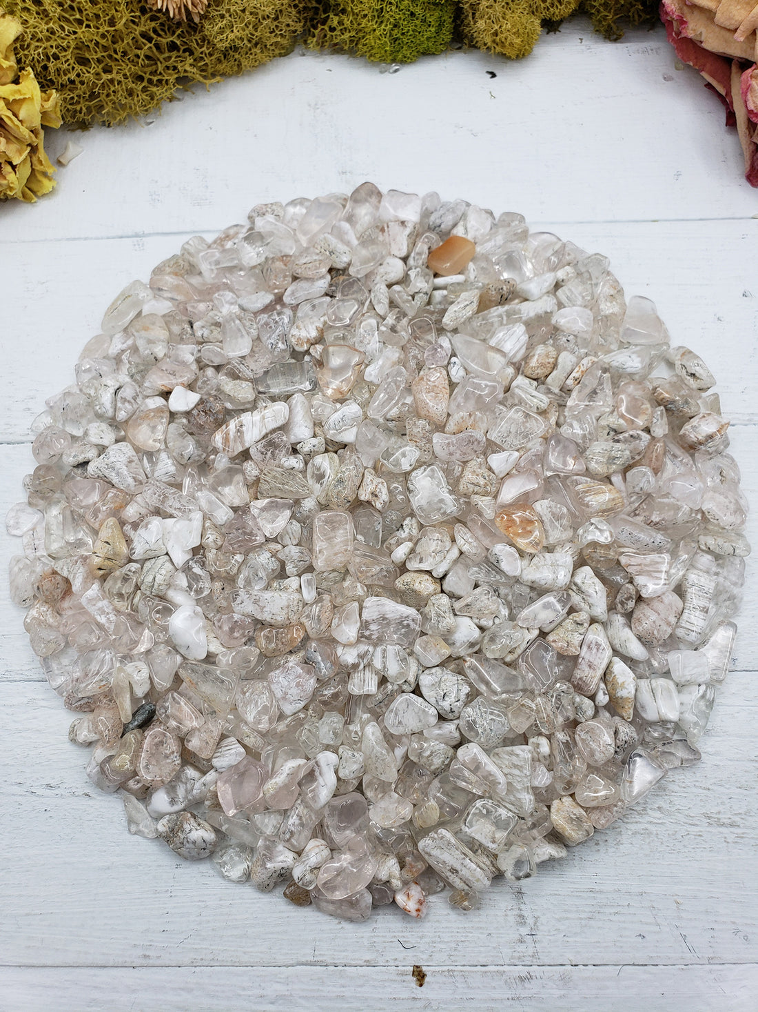 8 ounces of lodolite chips on display