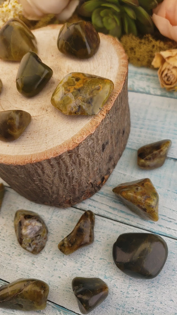 Green Opal Natural Tumbled Gemstone - Freeform One Stone - Natural Crystals