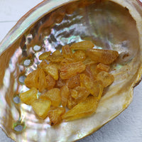abalone shell with 9 grams of amber stone chips