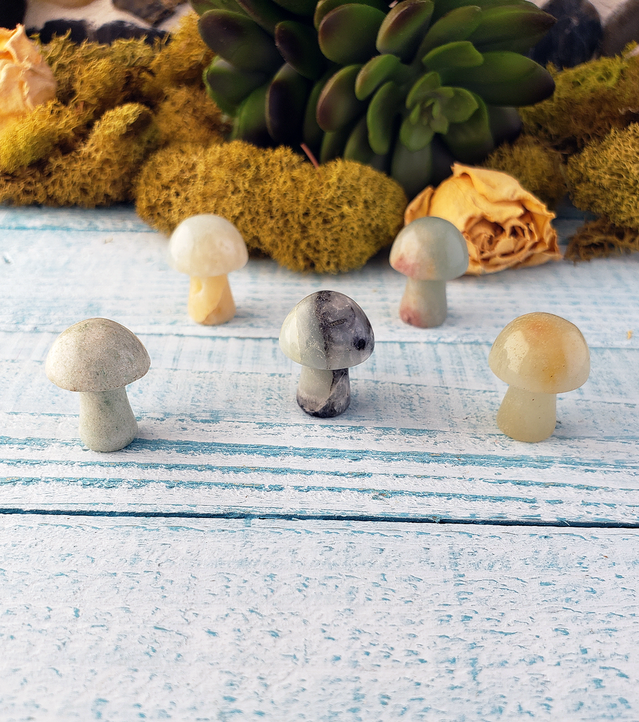Amazonite Gemstone Toadstool Mushroom Carving - Mini Shroom!
